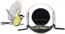 Born in Sweden Suction Cup Bird Feeder (Virtually Squirrel Proof)
