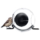 Born in Sweden Suction Cup Bird Feeder (Virtually Squirrel Proof)